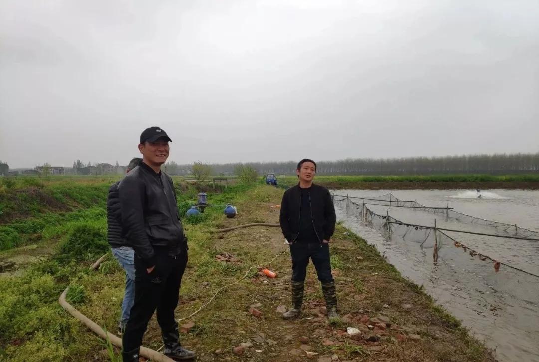 甲鱼养殖怎么肥水_甲鱼养殖肥水技术_养殖甲鱼肥水技术视频教程