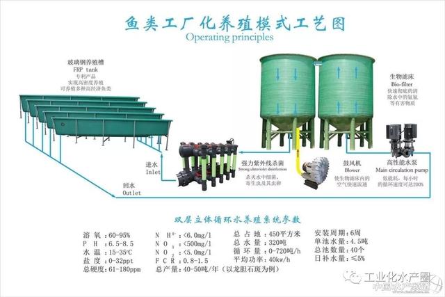 立体水产养殖模式_立体养殖水产室内技术要求_立体室内水产养殖技术