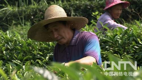 致富农村养殖种植_致富经种植养殖基地_致富养殖种植基地有哪些