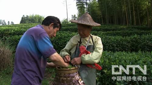 致富经种植养殖基地_致富养殖种植基地有哪些_致富农村养殖种植