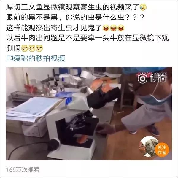 虹鳟鱼养殖技术视频_养虹鳟鱼赚钱吗_养殖虹鳟鱼的注意事项