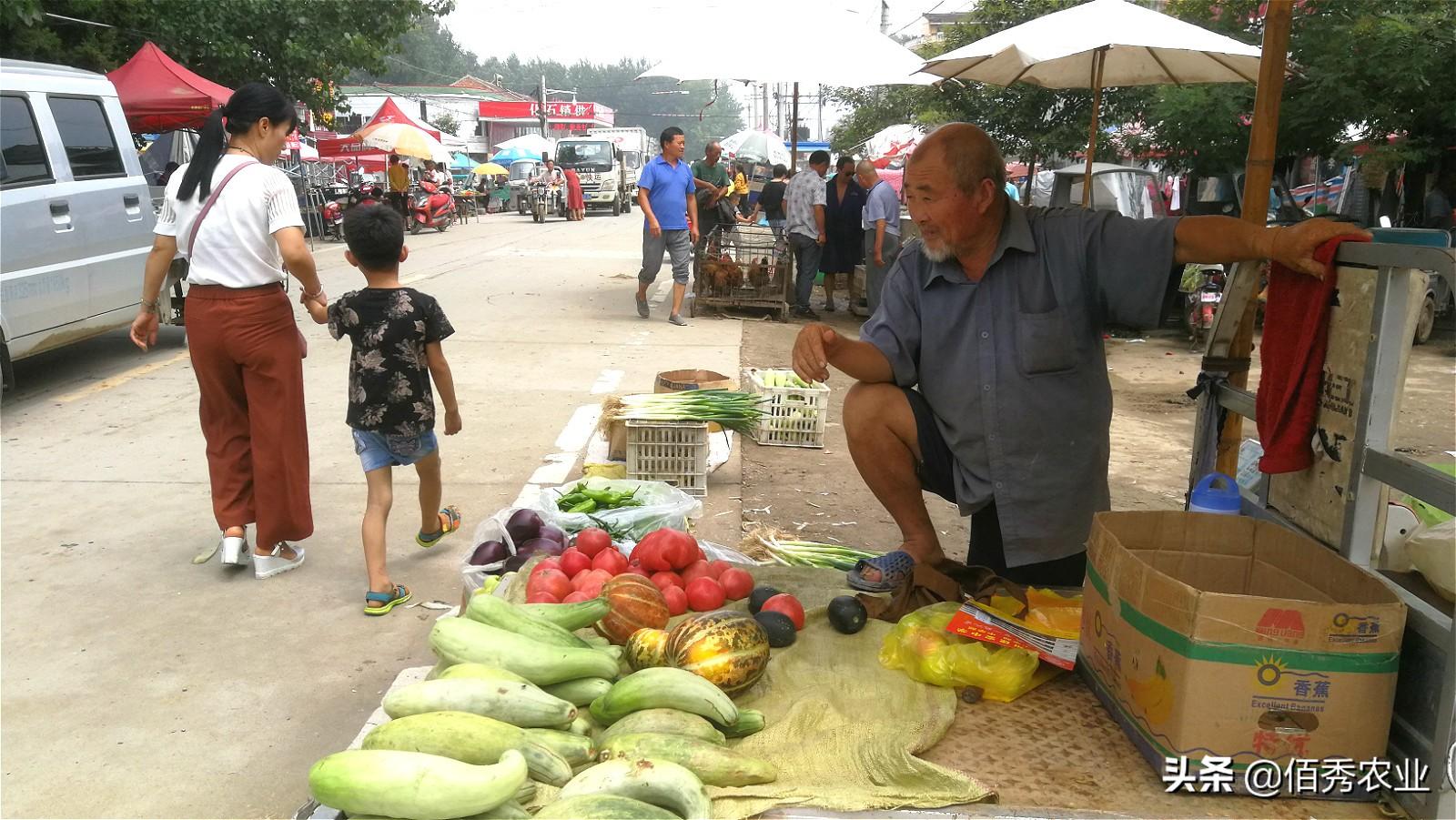 安徽老人种植传统甜瓜，靠卖回忆赢得市场，喜爱的人千里寻宝