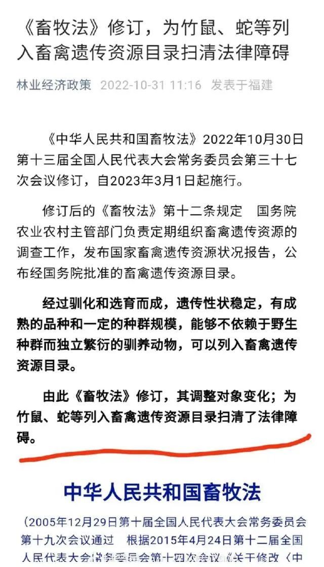 竹鼠养殖技术资料大全_竹鼠养殖技术资料_竹鼠养殖技术书