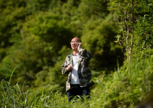 致富法宝种植项目_雷竹笋种植致富案例_农村种植致富好项目