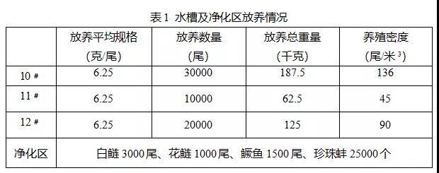 池塘工程化循环流水养殖这个新品种，220米3的水槽产量可达1.1万千克、效益近5万元