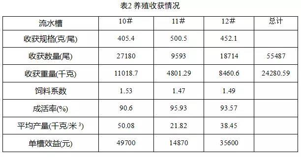 池塘工程化循环流水养殖这个新品种，220米3的水槽产量可达1.1万千克、效益近5万元