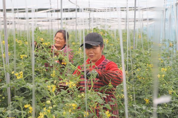 农村养殖建房_农村家庭养殖致富门路_养殖建房养殖致富