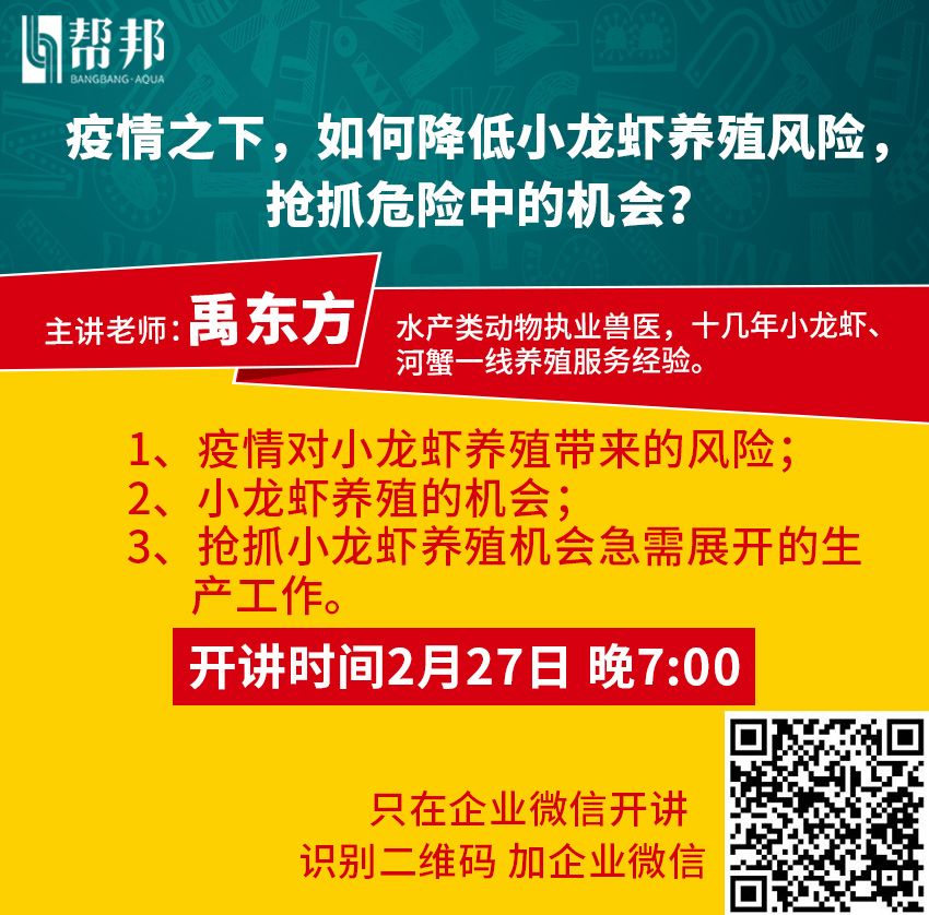 大棚立体养殖黄鳝视频_大棚养殖黄鳝技术视频_大棚养殖黄鳝养殖池