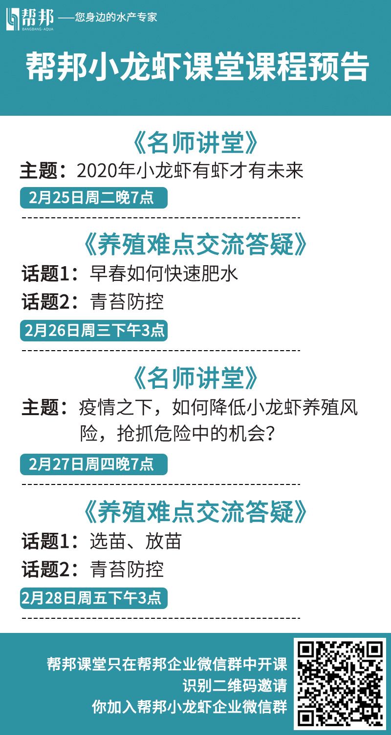 大棚养殖黄鳝技术视频_大棚立体养殖黄鳝视频_大棚养殖黄鳝养殖池