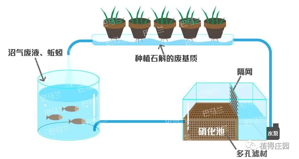 大棚养殖黄鳝技术视频_温室大棚养黄鳝视频_视频养殖大棚黄鳝技术教程