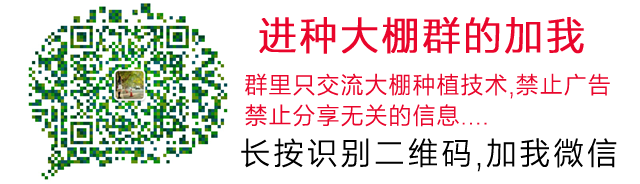 温室大棚养黄鳝视频_视频养殖大棚黄鳝技术教程_大棚养殖黄鳝技术视频