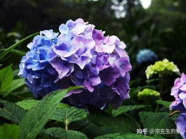 养殖致富小白_致富养殖什么最赚钱_养殖致富经