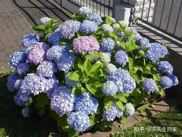 养殖致富经_养殖致富小白_致富养殖什么最赚钱