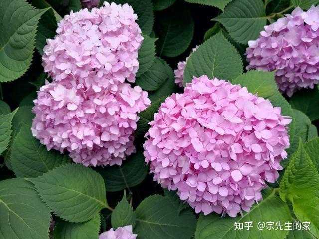 致富养殖什么最赚钱_养殖致富经_养殖致富小白