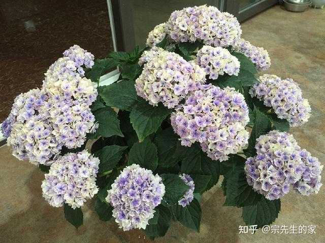 养殖致富经_养殖致富小白_致富养殖什么最赚钱