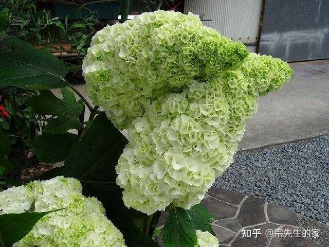 养殖致富小白_致富养殖什么最赚钱_养殖致富经