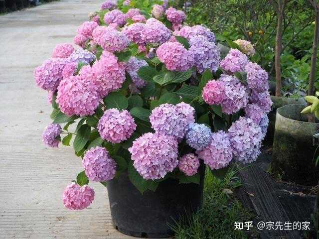 养殖致富小白_养殖致富经_致富养殖什么最赚钱