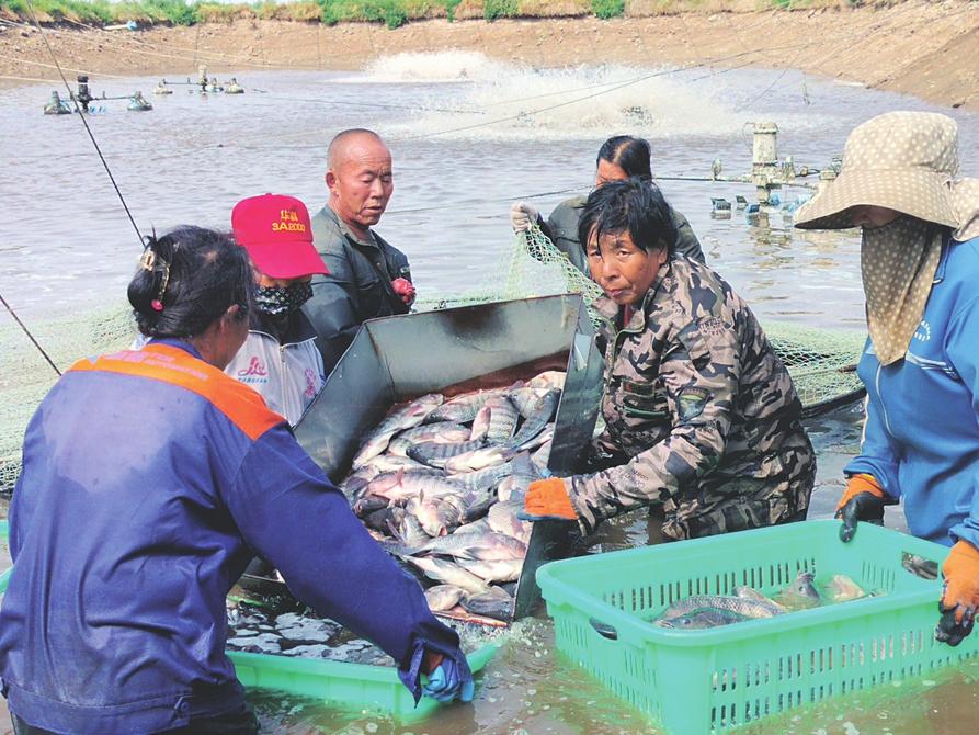 依山傍水发“渔”财