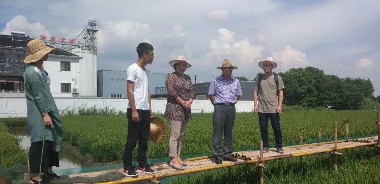 致富流水养殖鲈鱼视频_致富经鲈鱼流水养殖_流水养殖鲈鱼致富