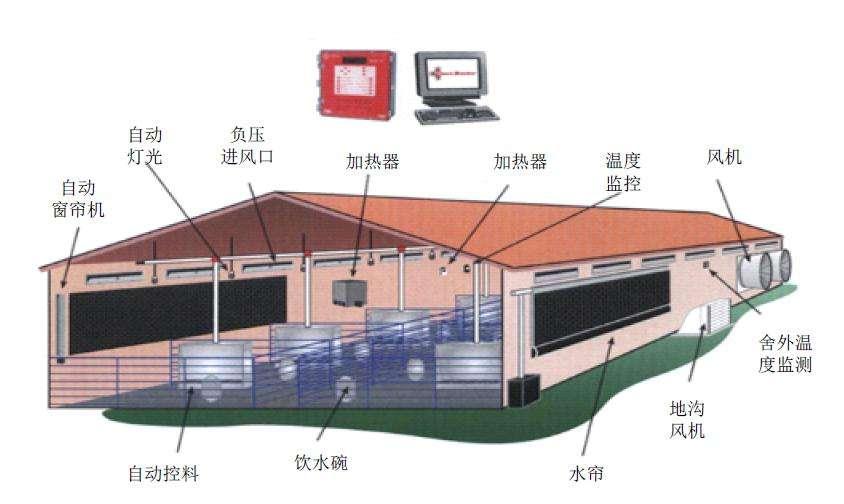 智能养殖致富新路_养殖致富门路_致富路上的特色养殖业