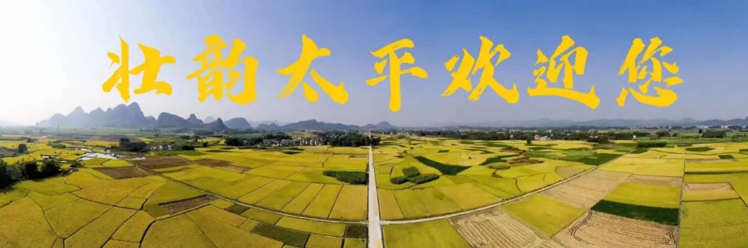 蜜蜂养殖技术网_蜜蜂养殖最新技术_养殖蜜蜂致富榜样