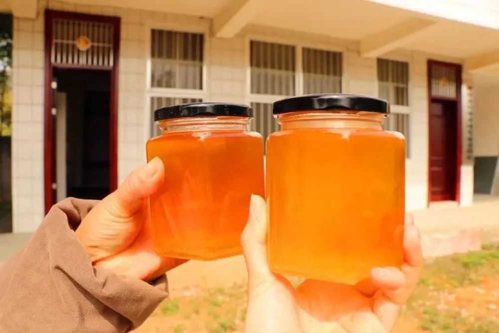 养殖蜜蜂致富榜样_蜜蜂养殖技术网_蜜蜂养殖最新技术