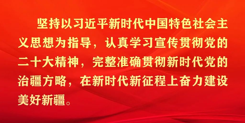 肉鸽养殖技术资料全集_肉鸽养殖前景怎么样_肉鸽养殖肉鸽养殖