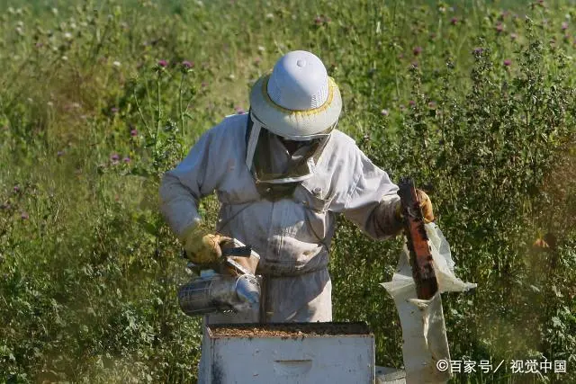 太阳能降温法，蜜蜂渡夏技术，养蜂人的新福音