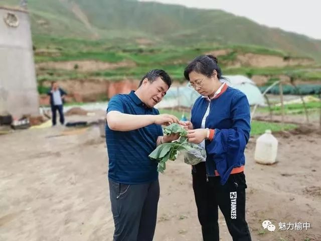 致富经种蔬菜种出千万财富_新型致富项目蔬菜_种植蔬菜致富密码