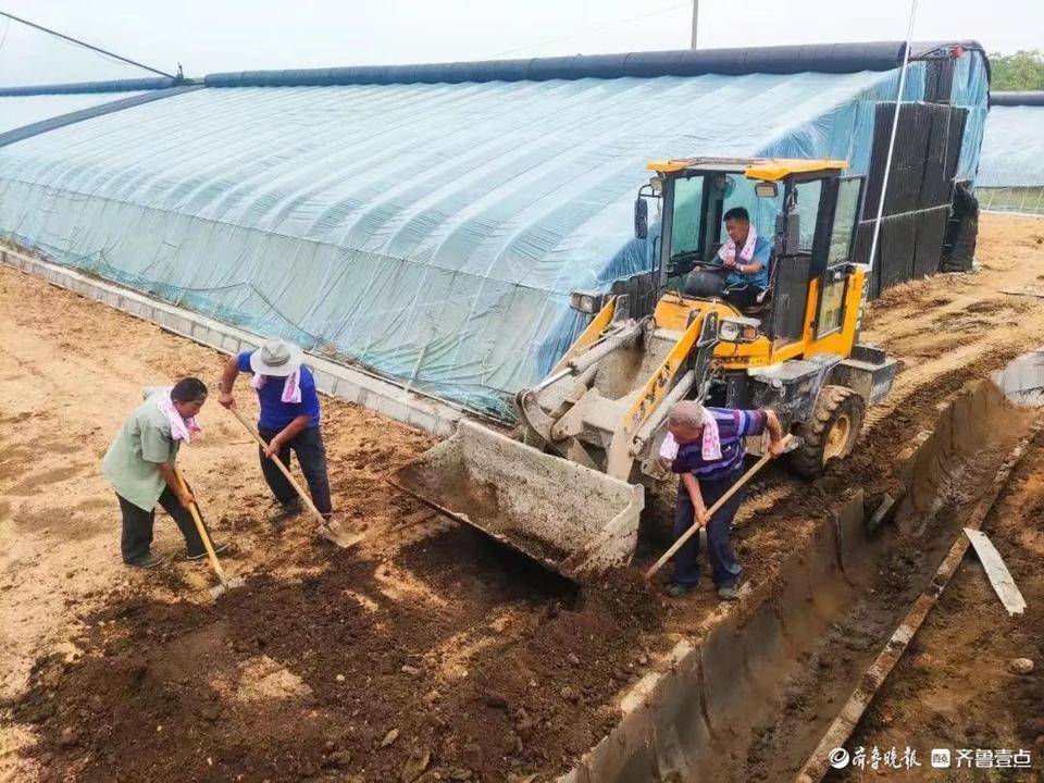 致富种植果菜园怎么样_致富种植果菜园图片_菜园种植致富果