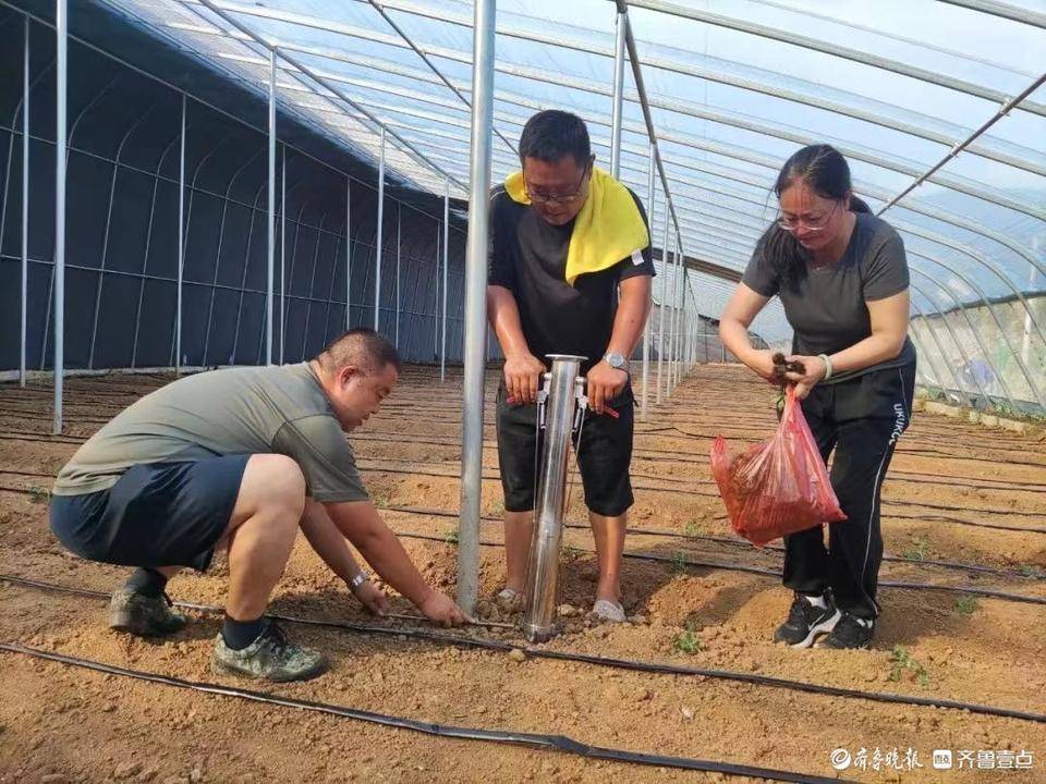 菜园种植致富果_致富种植果菜园图片_致富种植果菜园怎么样