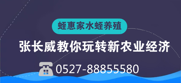 养殖水蛭最新技术_水蛭养殖技术视频播放_张长威 水蛭养殖技术