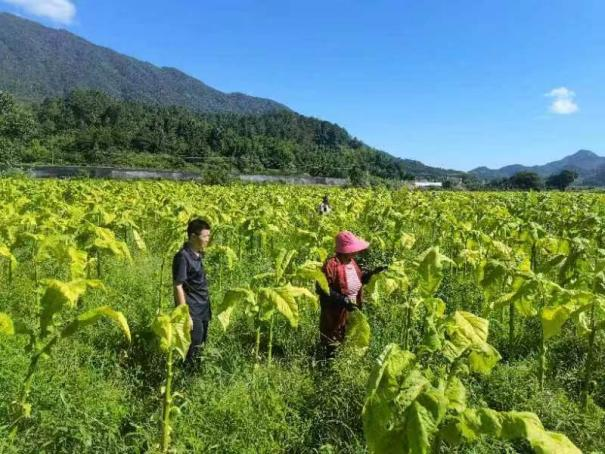 致富经唐长文_致富经唐忠华联系电话_富婆包男人电话联系