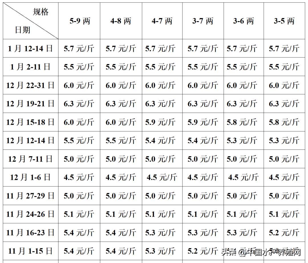 黑鱼水花怎么养殖_黑鱼水花养殖技术_养殖水花黑鱼技术视频