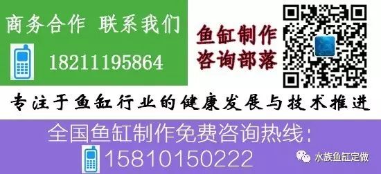 养殖燕鱼有什么需要注意的事项_燕鱼养殖技术_养殖技术燕鱼视频