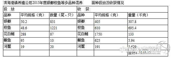 贵鱼怎么养殖技术_养殖贵鱼技术培训_贵鱼养殖技术