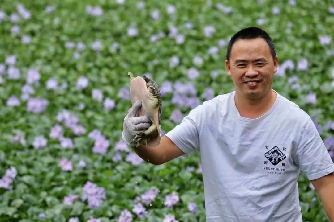 致富经养鳖视频_致富经养甲鱼视频播放_视频致富养鳖是真的吗