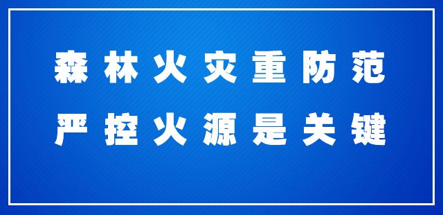 农村种植茶叶项目实施方案范文_农村种植茶叶致富_致富茶叶种植农村有补贴吗