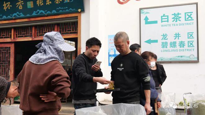 农村种植茶叶致富_农村种植茶叶项目实施方案范文_致富茶叶种植农村有补贴吗