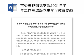 市委统战部党支部2021年半年工作总结级党史学习教育专题组织生活会检视剖析材料