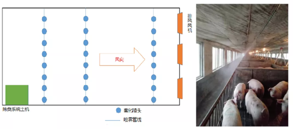 养殖猪技术视频大全_养殖猪技术培训学校_猪技术养殖