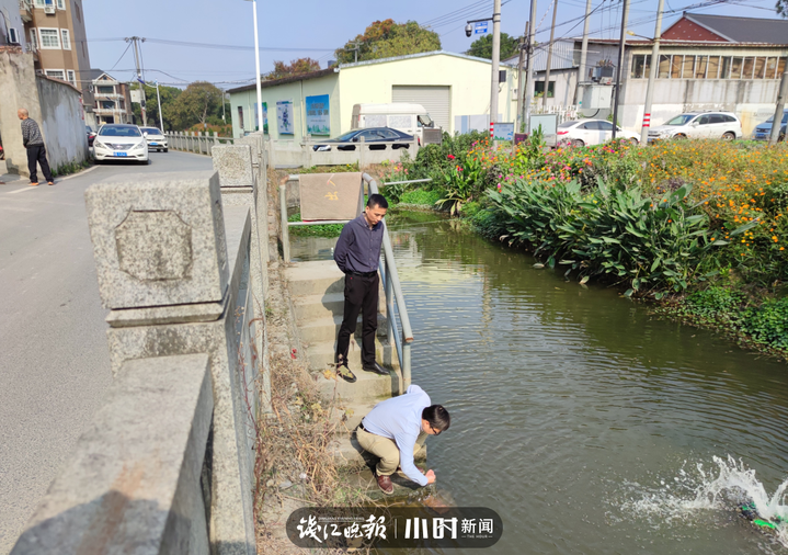 仁和街道党工委副书记、办事处主任褚潇现场踏看河道水质情况.jpg