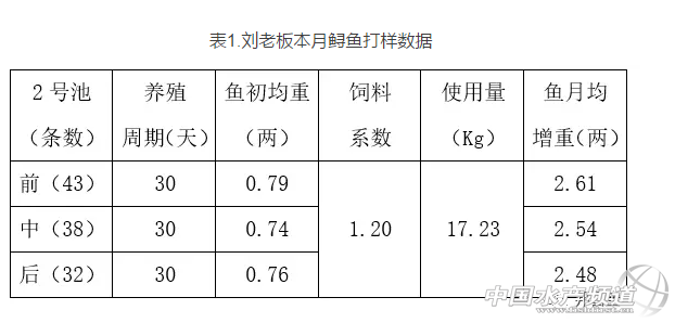 养殖鲟鱼前景如何_养殖鲟鱼致富_致富养殖鲟鱼怎么样