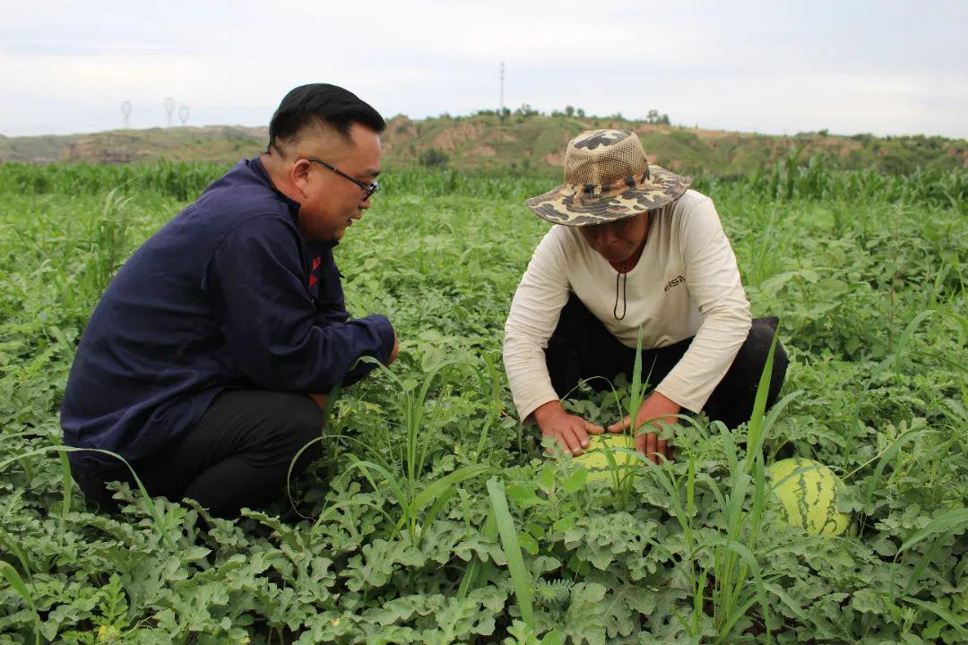 陕西神木种植致富_神木靠什么致富_致富陕西种植神木视频