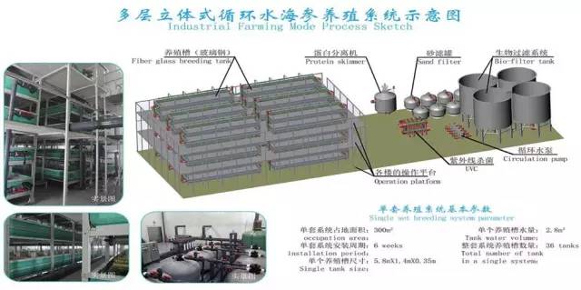 工厂化养殖业_工厂化养殖视频_工厂化养殖技术