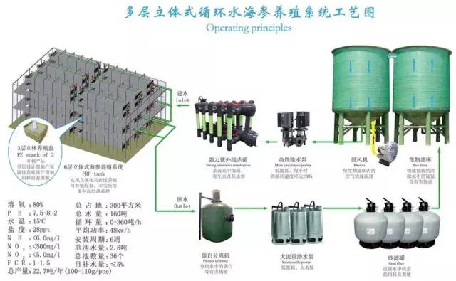 工厂化养殖技术_工厂化养殖视频_工厂化养殖业