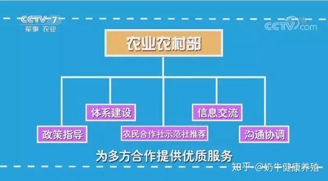 致富经cctv7养芦花鸡_致富经养鸡技术视频_致富经芦花鸡养殖