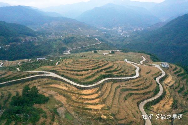 漯河市沙澧河风景区_致富经沙塘澧视频_沙澧特晚秋黄梨苗