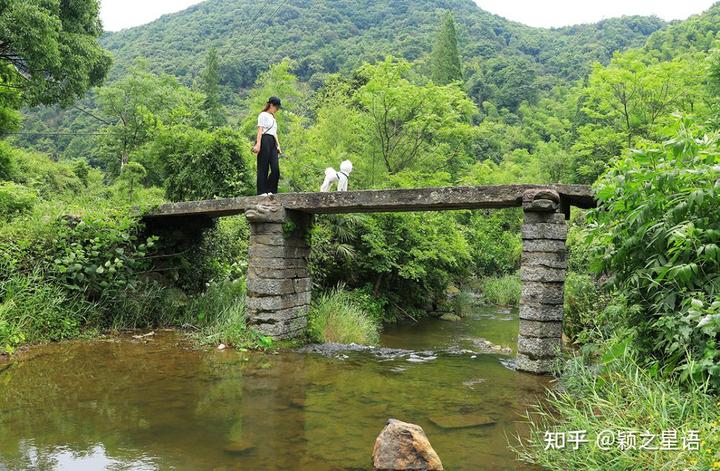 漯河市沙澧河风景区_致富经沙塘澧视频_沙澧特晚秋黄梨苗