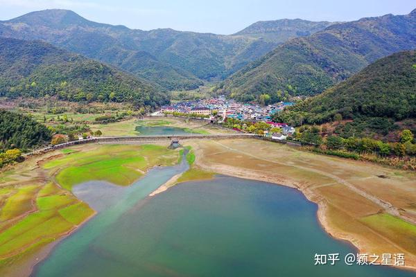 沙澧特晚秋黄梨苗_致富经沙塘澧视频_漯河市沙澧河风景区